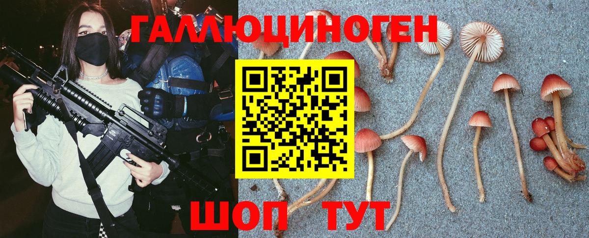 Псилоцибиновые грибы прущие грибы  Вход с VPN  Псилоцибиновые грибы MAGIC MUSHROOMS  Кисловодск 