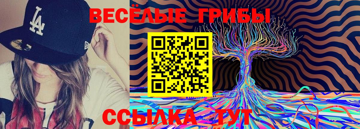 Псилоцибиновые грибы мицелий Кисловодск